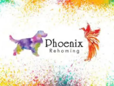Phoenix Rehoming logo